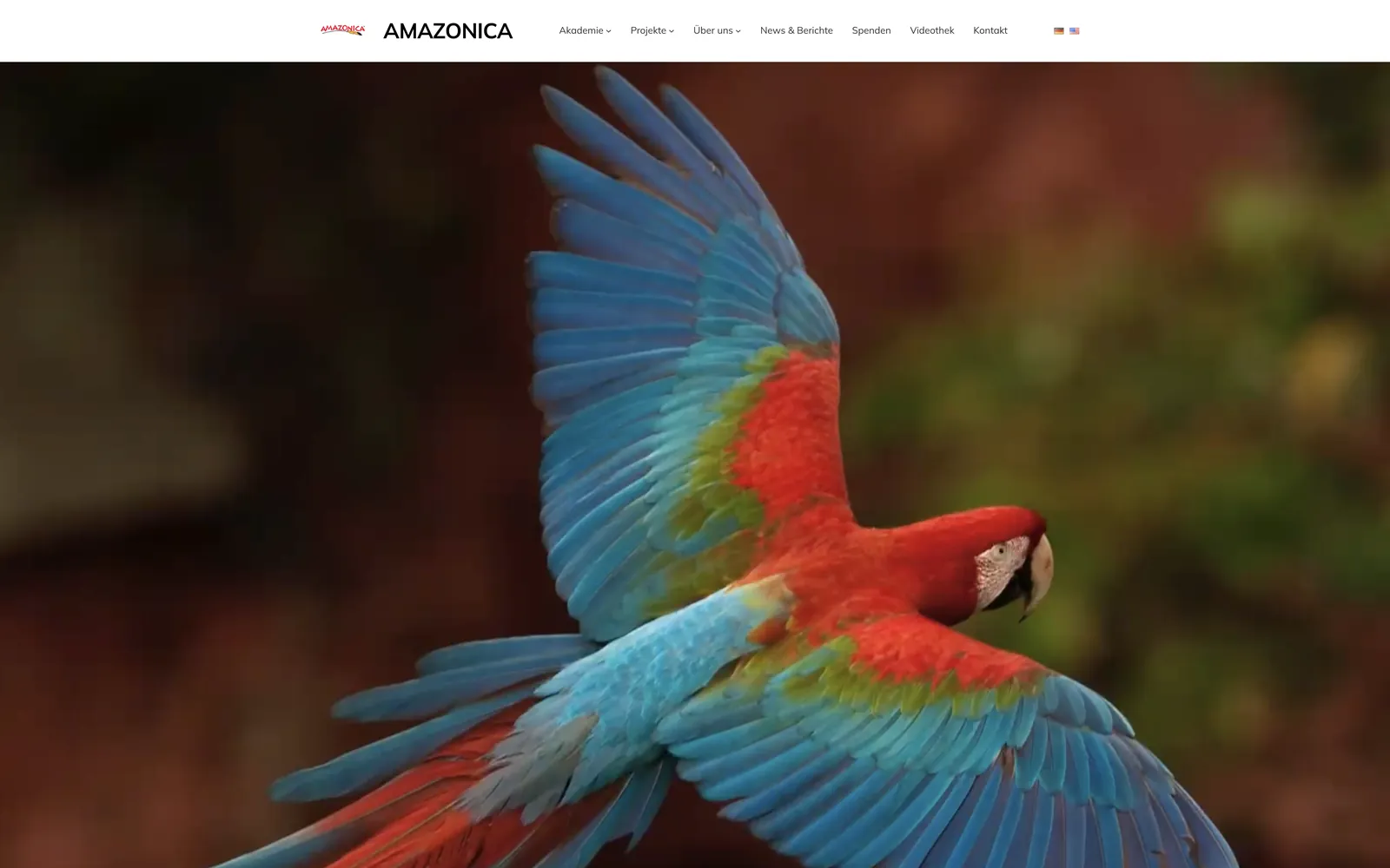 Startseite der Website von Amazonica auf dem Desktop